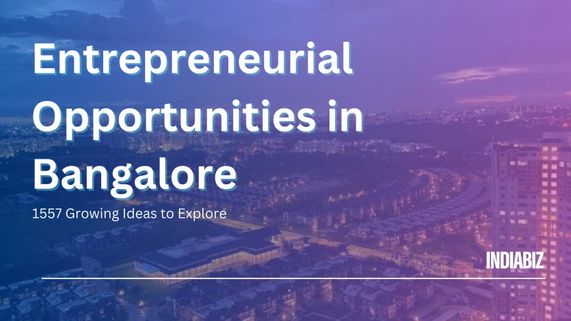 Entrepreneurial Opportunities in Bangalore